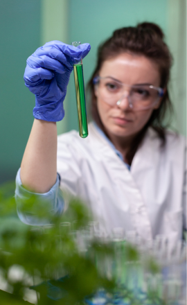 Field Fusion Laboratory